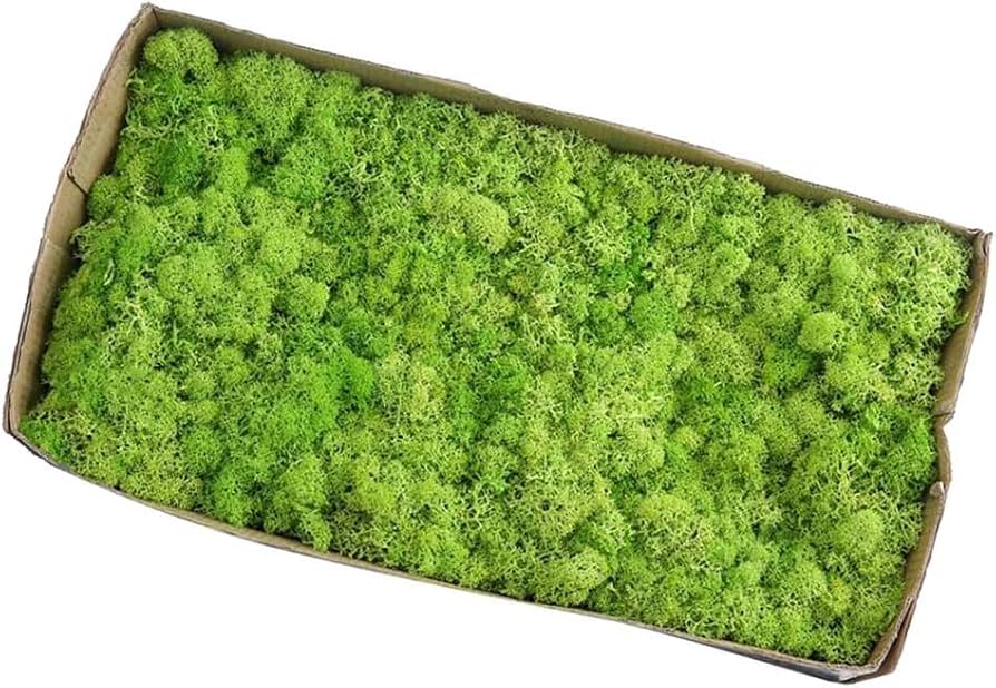 Amazon.co.jp: プリザーブドフラワー モス ドライモス 造花 人工